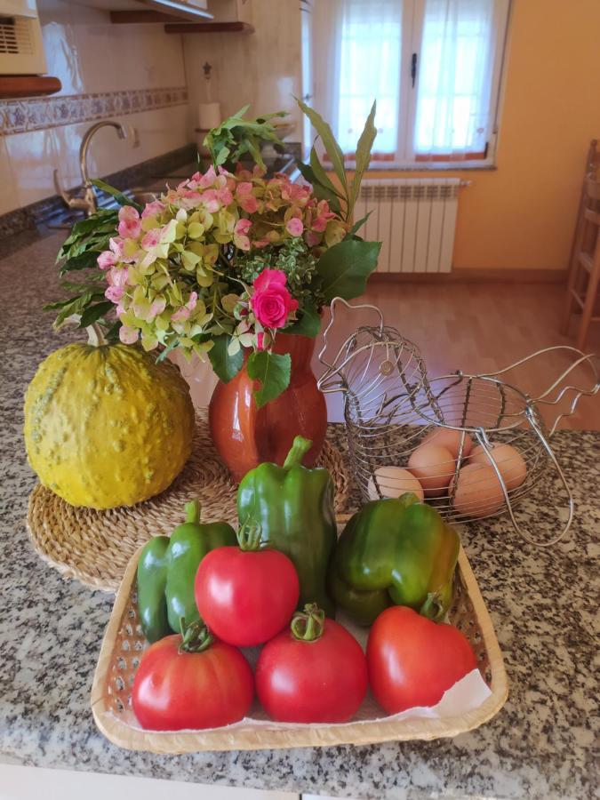 Apartamentos Casa Alvarina - Luarca Cortina エクステリア 写真