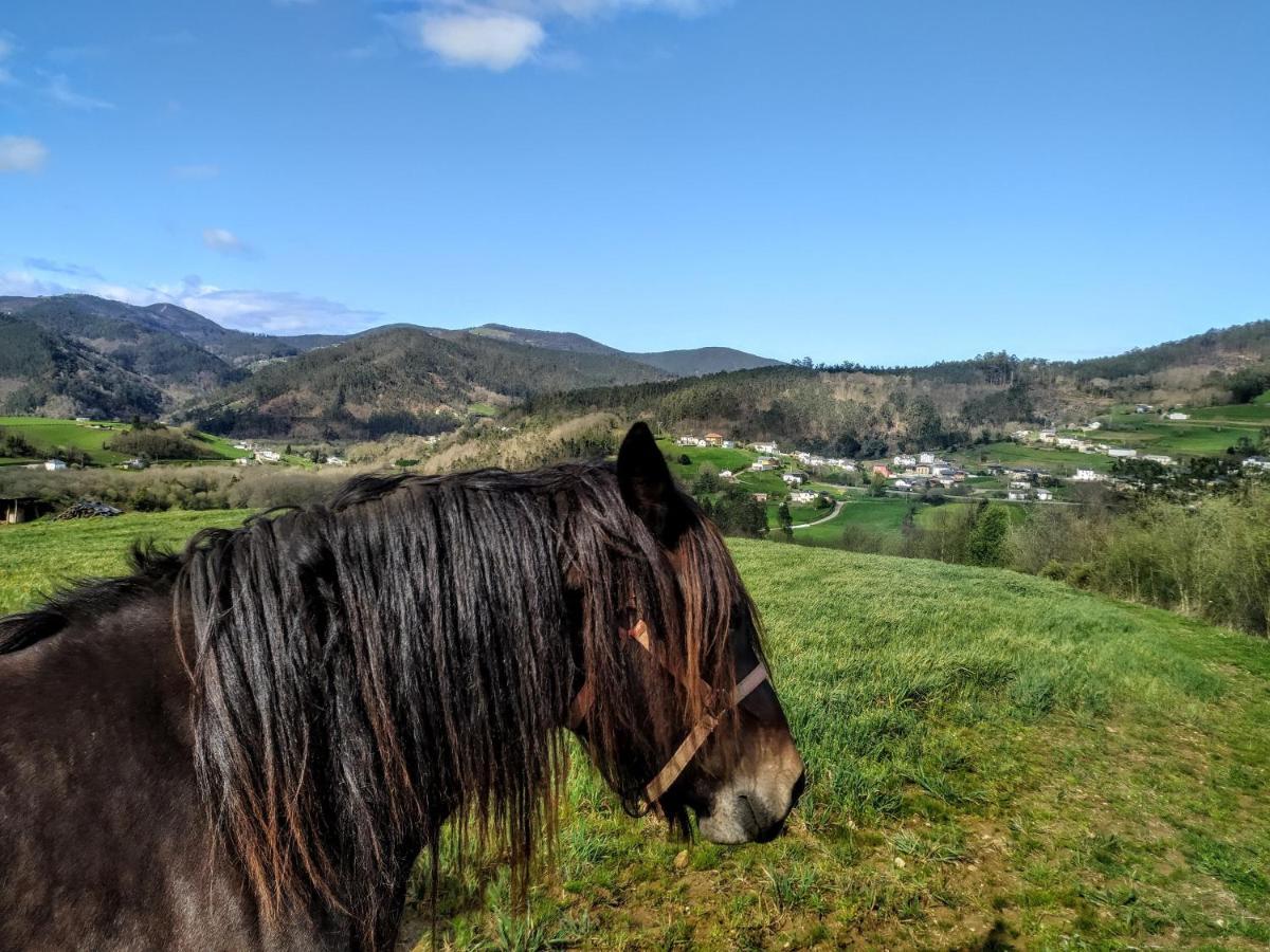 Apartamentos Casa Alvarina - Luarca Cortina エクステリア 写真
